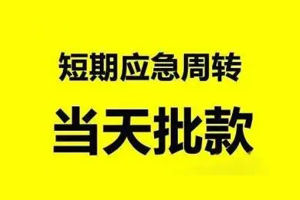 东莞5小额贷款公司